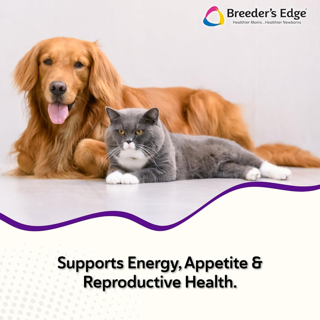Breeder's Edge B Strong Powder - Suplemento de vitamina B para perros y gatos (300g)
