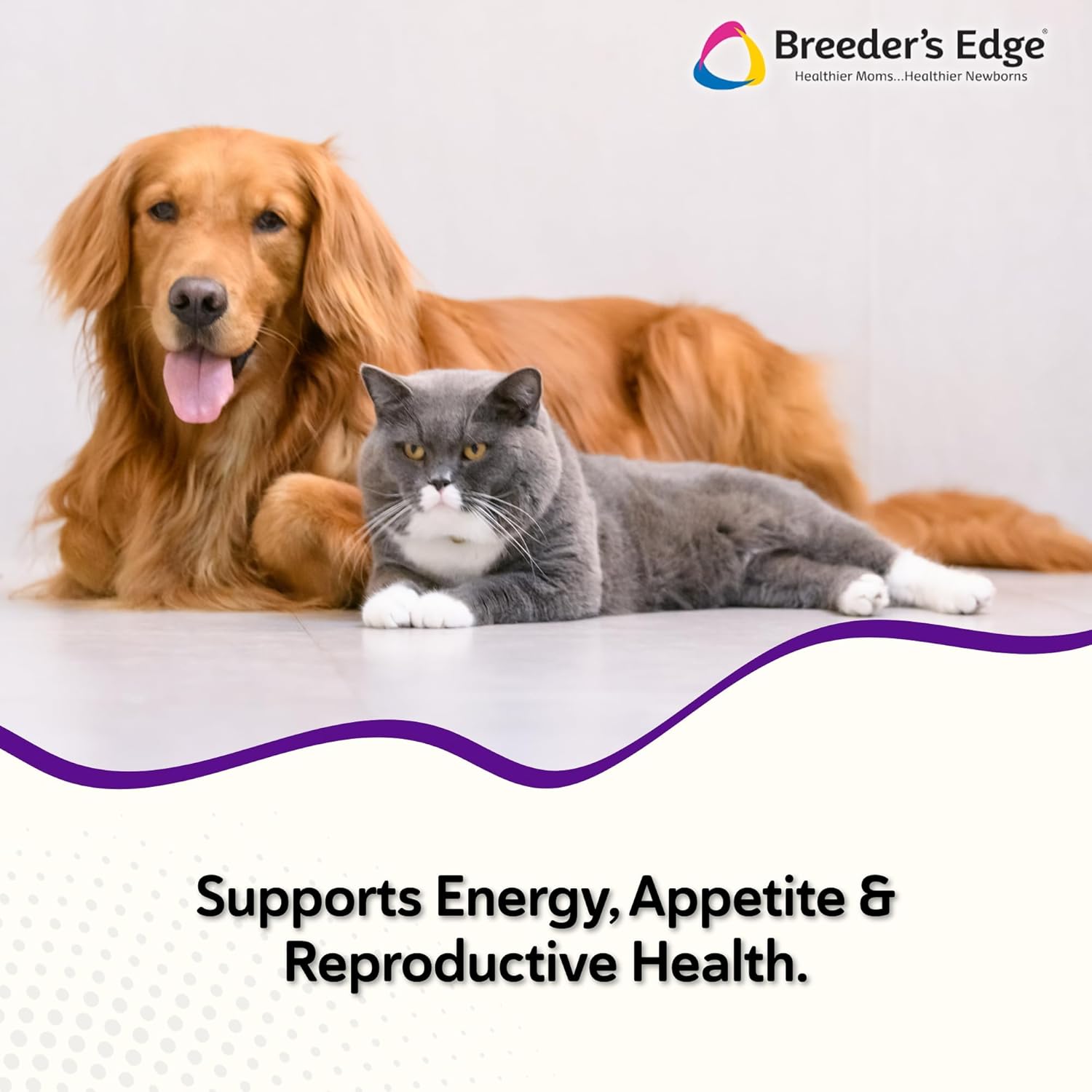 Breeder's Edge B Strong Powder - Suplemento de vitamina B para perros y gatos (300g)