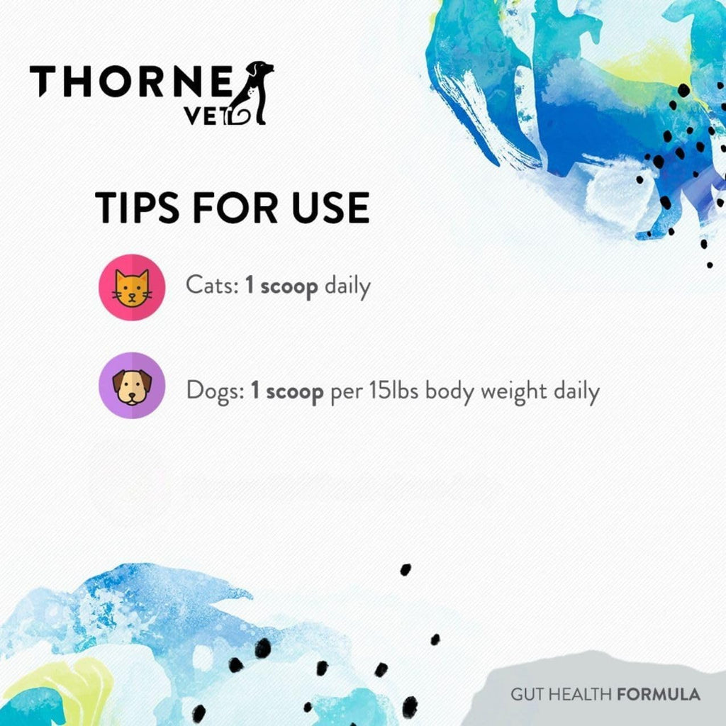 ThorneVET Gut Health Formula – Soporte Gastrointestinal para Perros, Gatos y Caballos, 180 Dosis