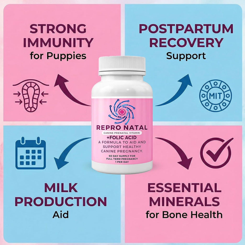 ReproNatal™ Cápsulas Multivitamínicas Prenatales para Perras - 60 Días