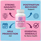 ReproNatal™ Cápsulas Multivitamínicas Prenatales para Perras - 60 Días