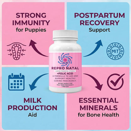 ReproNatal™ Cápsulas Multivitamínicas Prenatales para Perras - 60 Días – Image 3