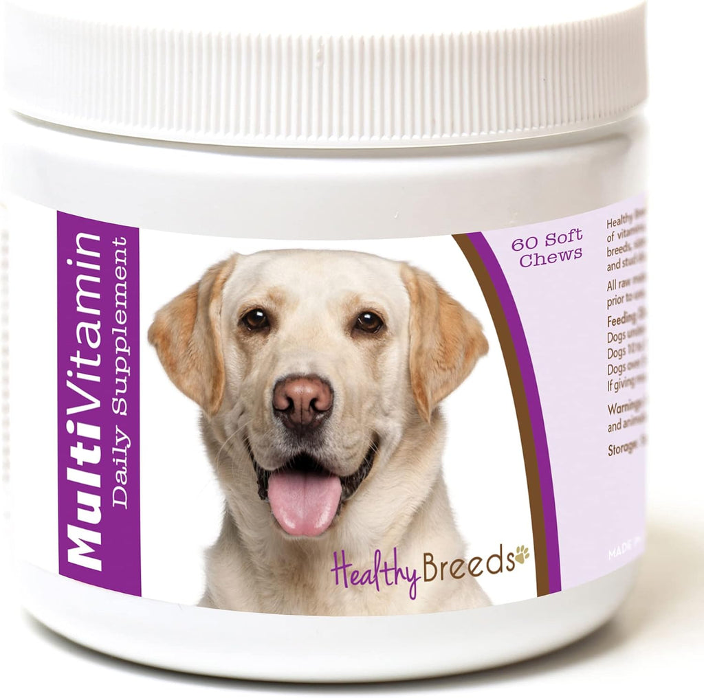 Healthy Breeds Labrador Retriever Multi-Vitamin Soft Chews 60 masticables