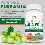 Cápsulas de Amla 1000mg - 120 Cápsulas Vegetales - Organic Aura