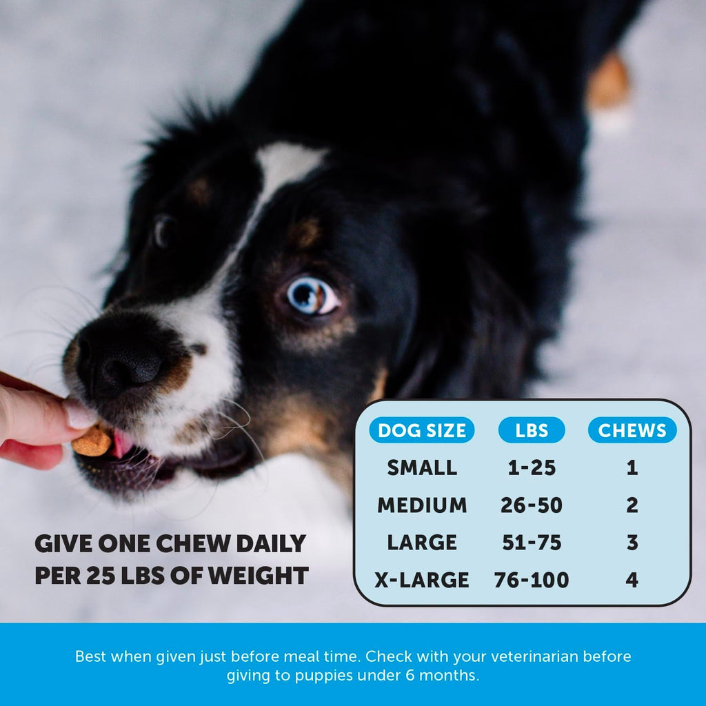 Pet Honesty Omega 3 para Perros - Suplemento de Aceite de Salmón para Piel y Pelo, 90 Chews