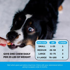 Pet Honesty Omega 3 para Perros - Suplemento de Aceite de Salmón para Piel y Pelo, 90 Chews