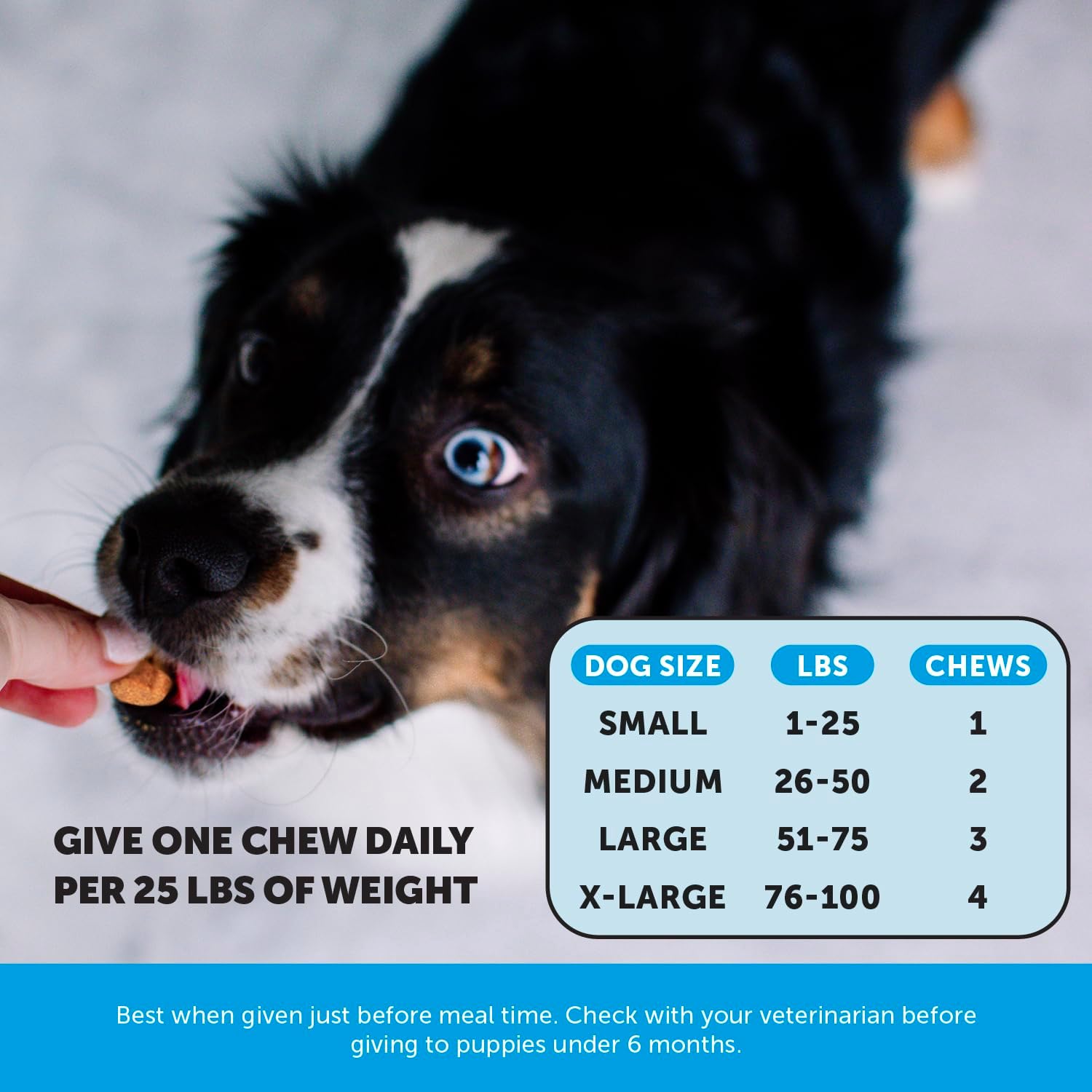 Pet Honesty Omega 3 para Perros - Suplemento de Aceite de Salmón para Piel y Pelo, 90 Chews