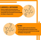 Same y Silybin para Perros - S-Adenosil-L-Metionina y Silibina, Suplemento Hepático para Perros Grandes, Apoyo para Hígado y Cerebro (Same+Silybin), Todos los Perros (Hasta 54 kg)