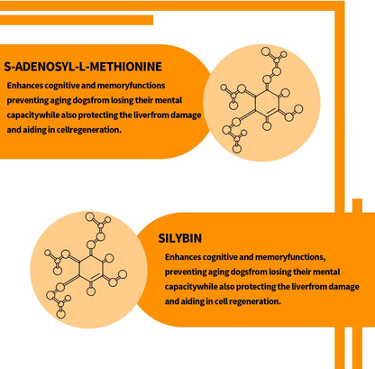 Same y Silybin para Perros - – Excipientes necesarios para la formulación en comprimidos. – Image 3