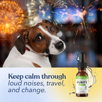 Aceite de Cáñamo para Perros - Gotas Calmantes de Aceite de Semilla de Cáñamo - Rico en Omega 3, 6 y 9