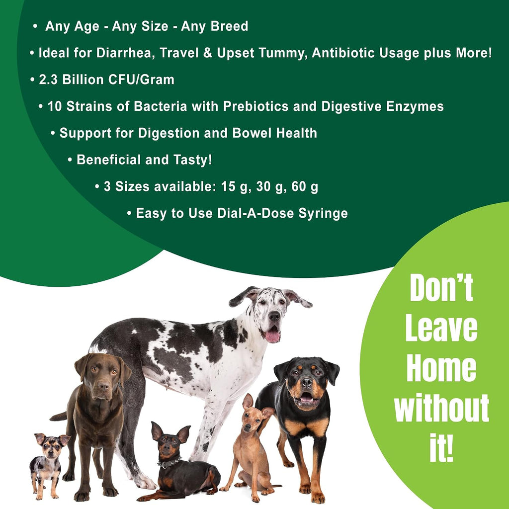 Dogzymes Pasta Probiótica Canina con Saccharomyces boulardii (15 g)