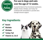 Vet Classics CAS Options Extra Strength Immune Support para Perros y Gatos - Suplemento Antioxidante - 120 Masticables Blandos