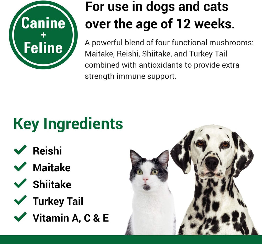 Vet Classics CAS Options Extra Strength – Immune Supplement for Dogs and Cats – 120 Chewable Tablets