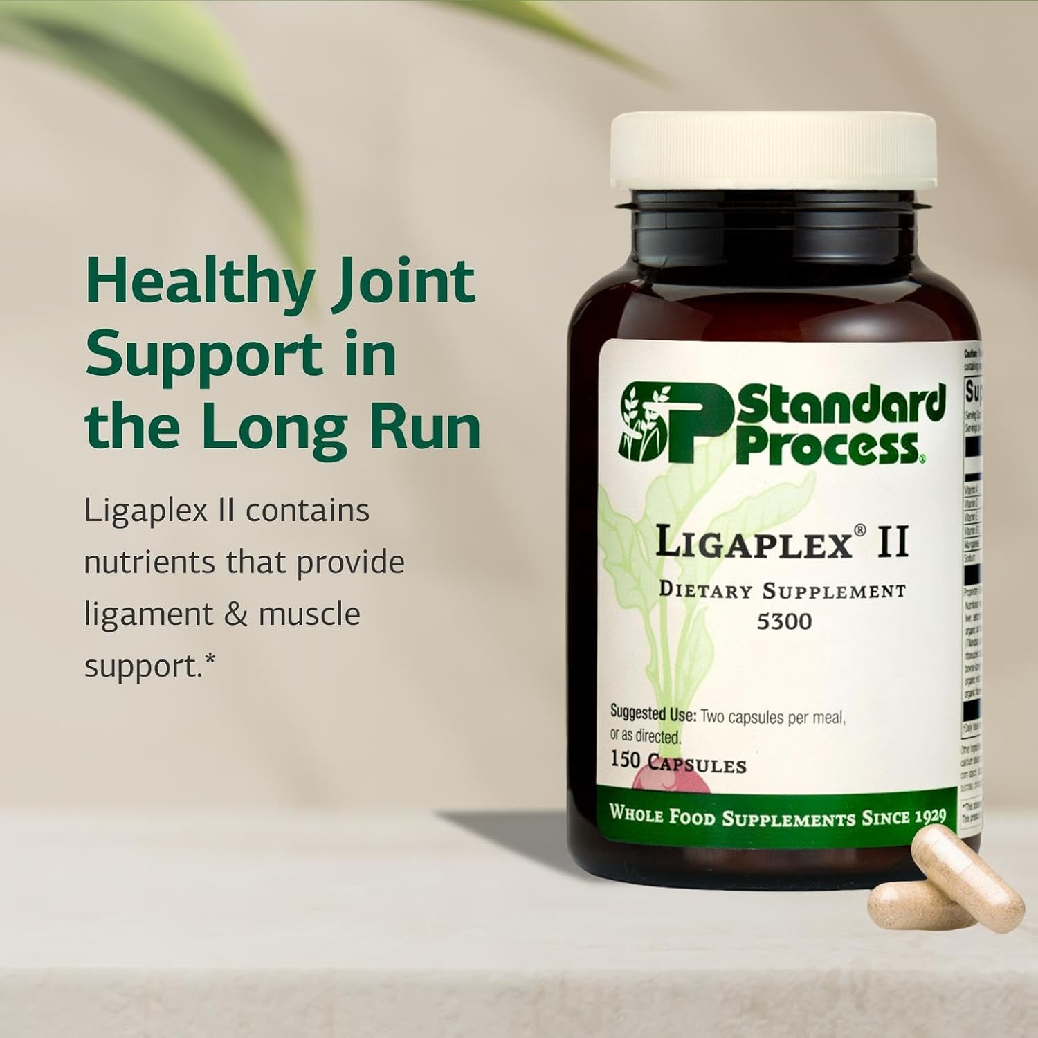 Standard Process Ligaplex II - Joint and Bone Support - Supplement with Manganese and Vitamins B12, A and D - 150 Capsules