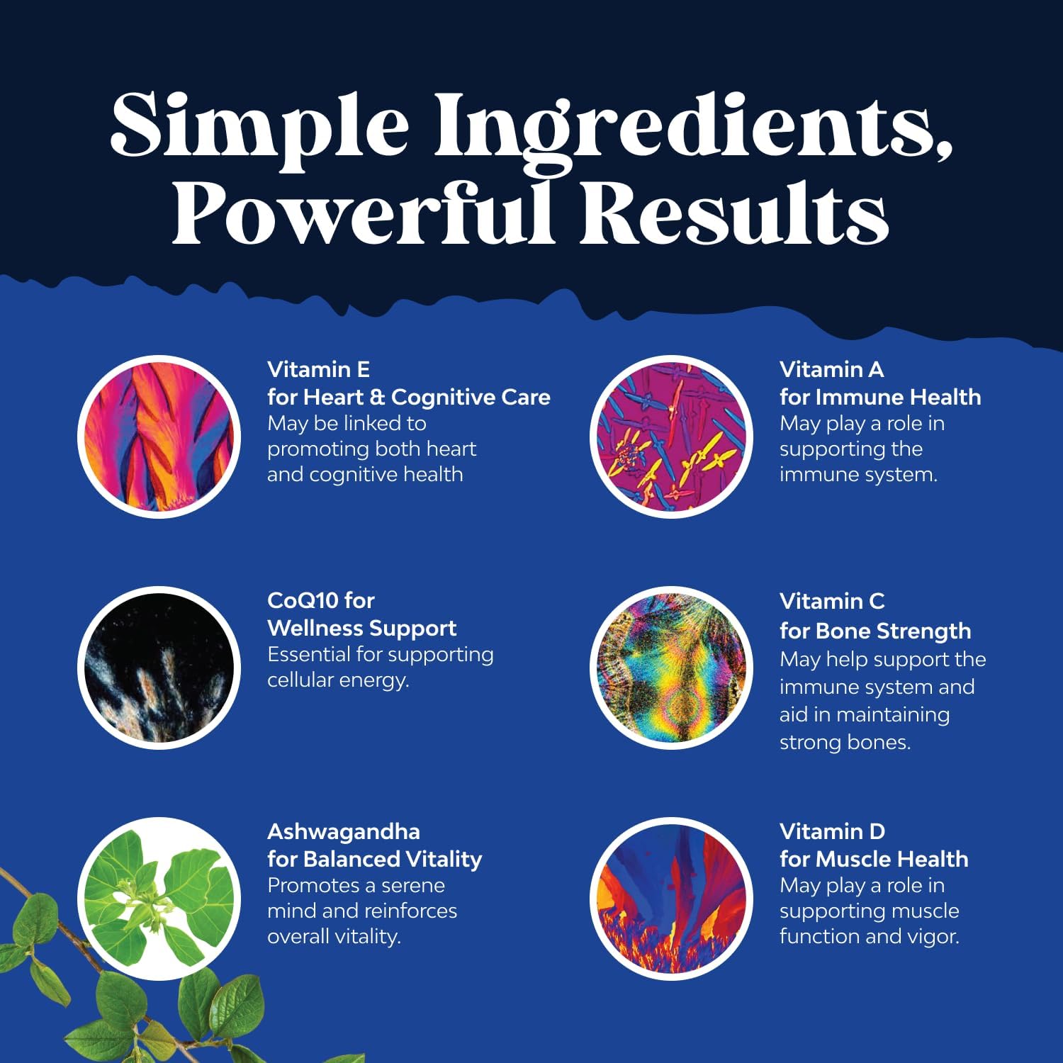 Nature's Craft Multivitamínico Diario para Hombres en Gominolas - 90 Gominolas con Zinc y Biotina
