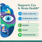 Neuriva Brain + Eye - Suplemento para Memoria, Concentración y Salud Visual - 90 Cápsulas (3 Envases de 30)