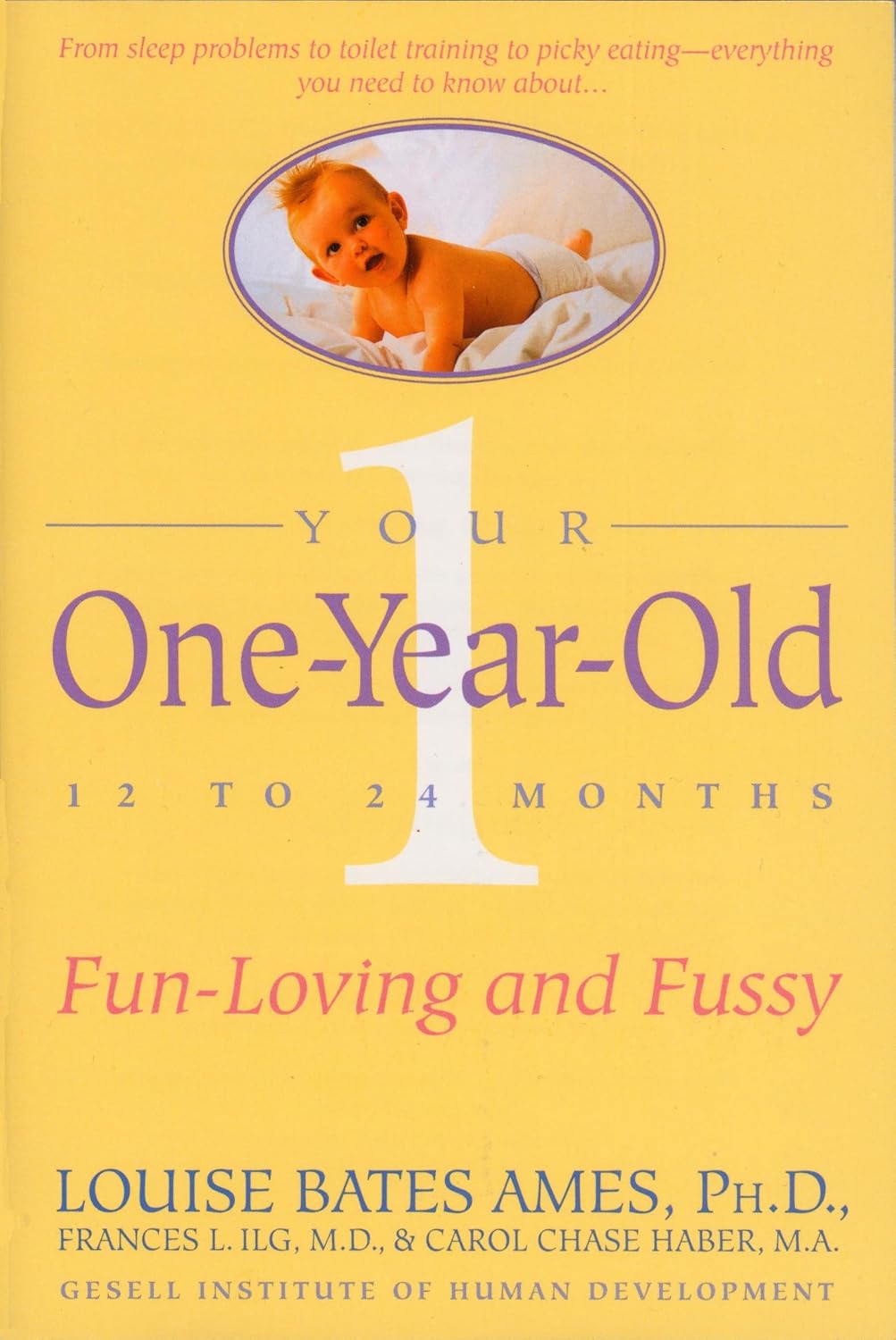 Your One-Year-Old: Fun and Demanding - A Developmental Guide for 12 to 24 Months