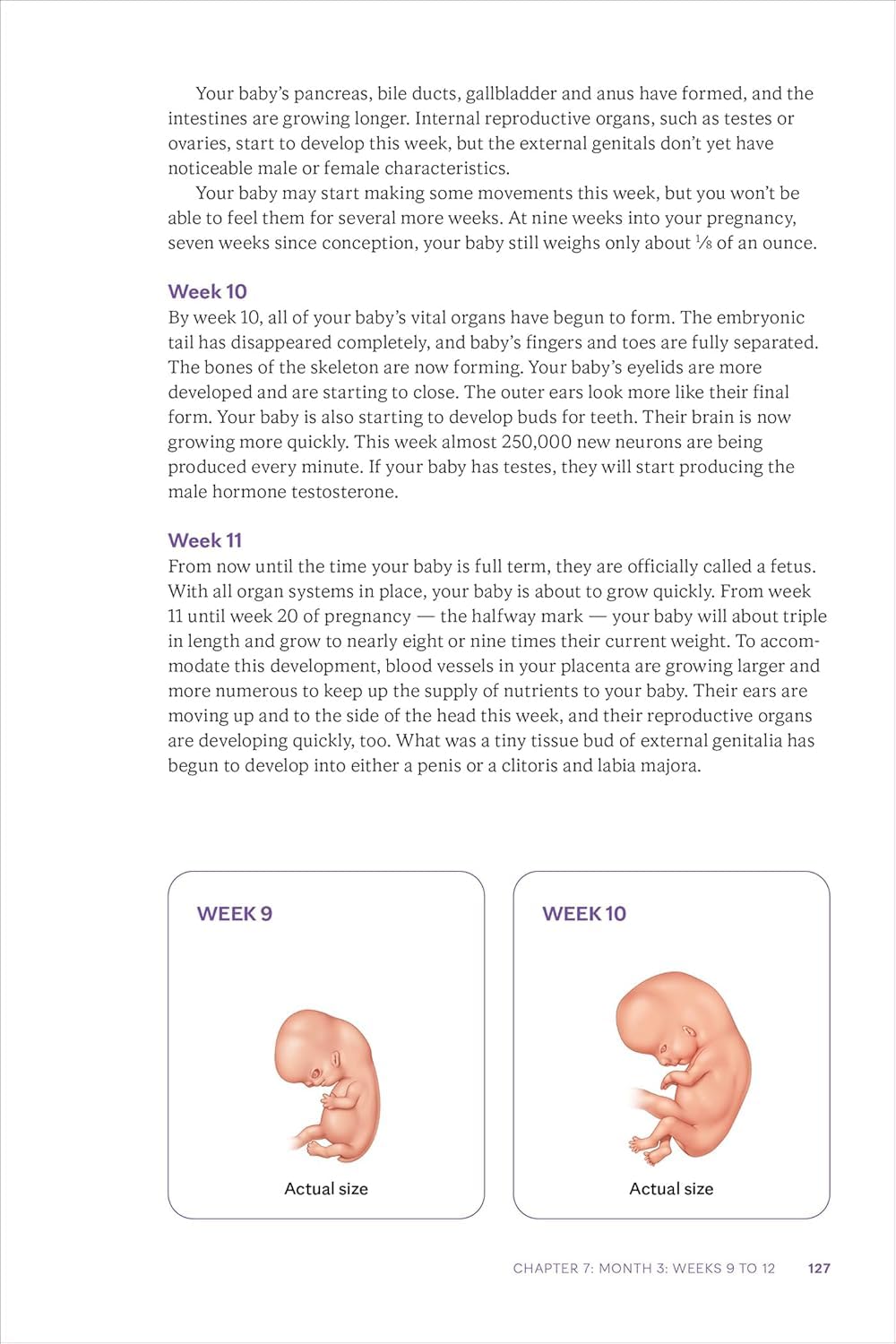 Mayo Clinic Guide to a Healthy Pregnancy, 3rd Edition: Evidence-Based Insight and Real-Life Tips for Expecting Parents
