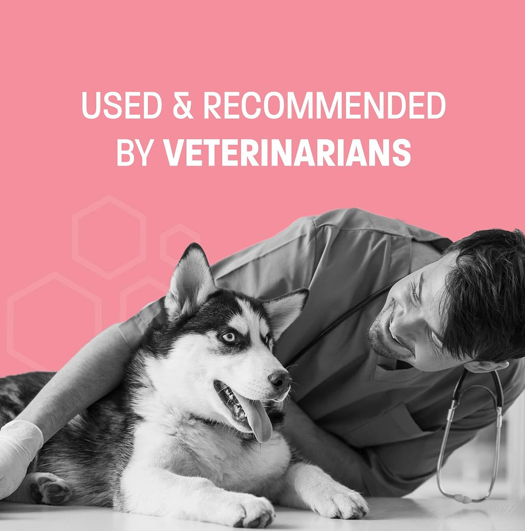 Pet Health Pros Pasta Probiótica Oral para Perros y Gatos - 30 cc