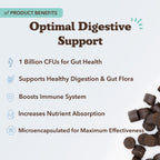 Natural Dog Company Probióticos para Perros – Masticables con 1B UFC, Cepas Microencapsuladas, Prebióticos y Enzimas para la Salud Digestiva, 45 unidades