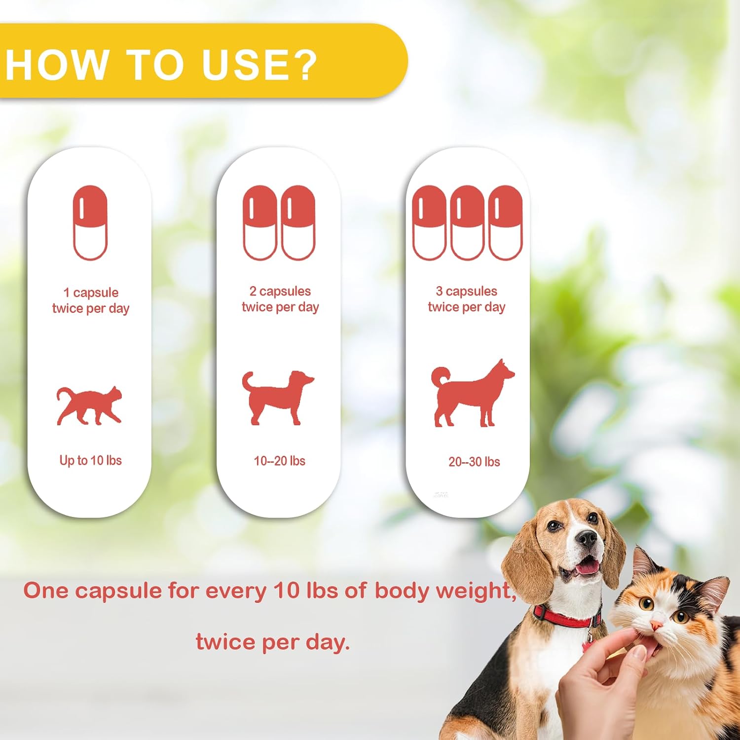 Immune Defense – Suplemento de Apoyo Inmunológico para Perros y Gatos