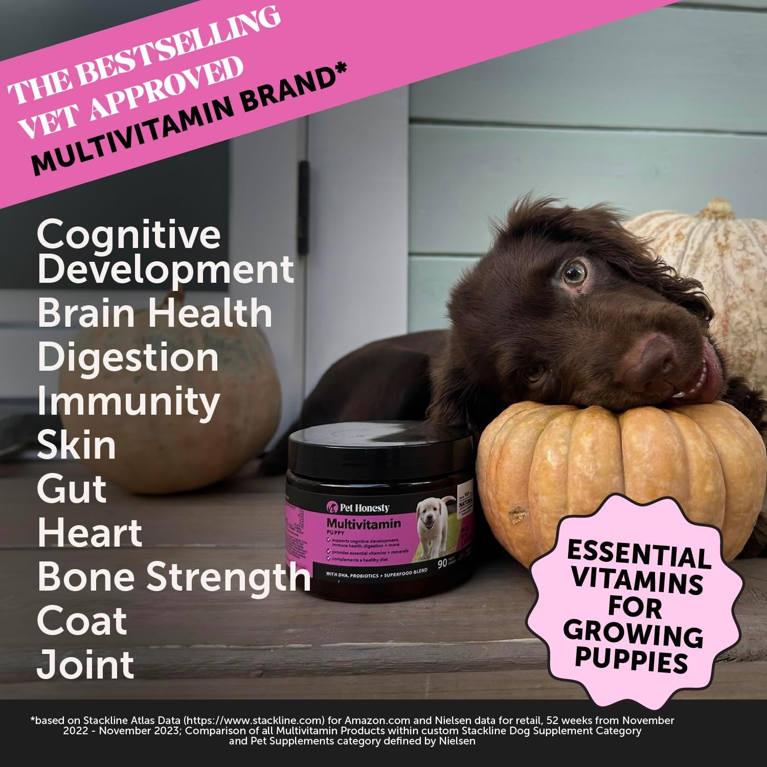 Multivitamínico Masticable para Cachorros con DHA, Omega 3 y Probióticos - Pet Honesty (90 unidades, Sabor Bacon Ahumado)