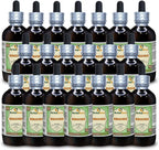Extracto Líquido de Nirgundi (Vitex Negundo) 118 ml - HerbalTerra