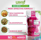 Wixar Polvo de Musgo Marino Silvestre - 226 g