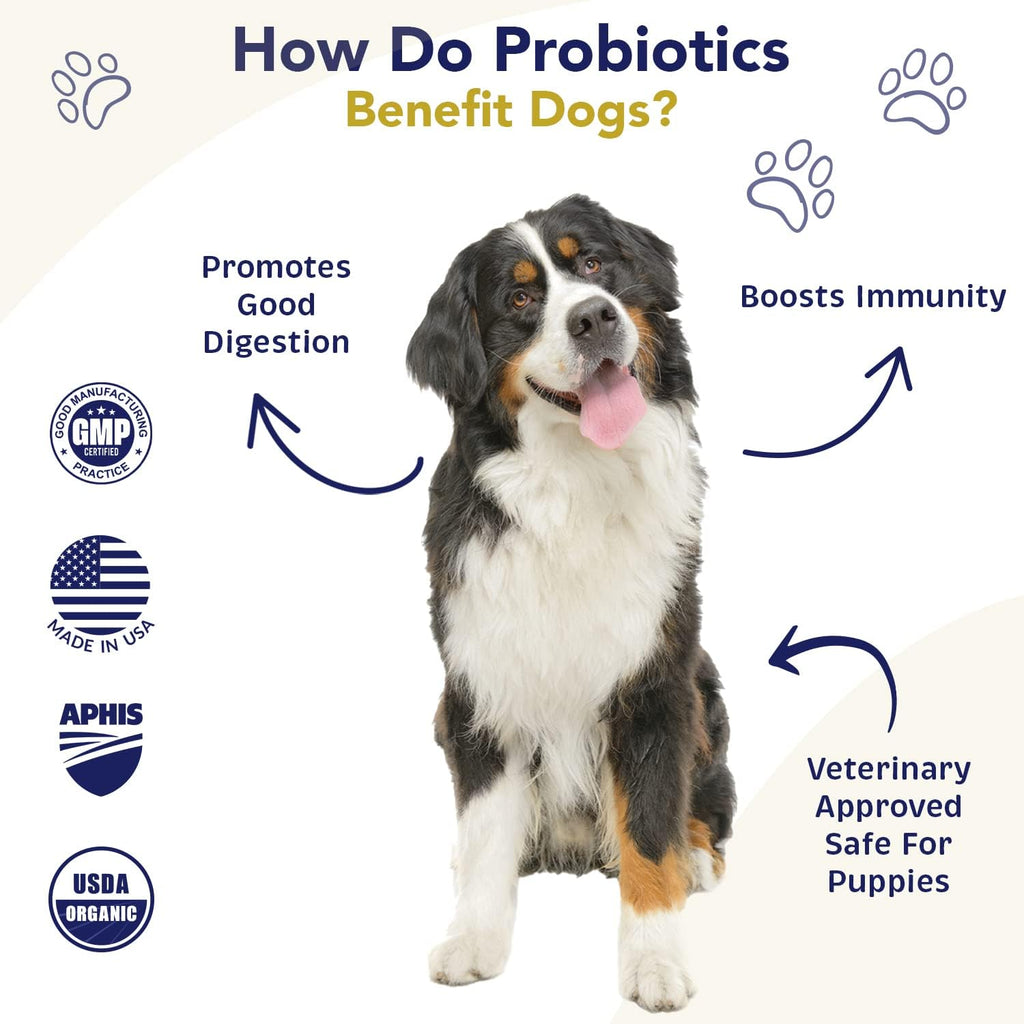 Probiotics for Dogs Digestive Health (Chicken & Bacon) - Probiotic Powder for Dogs - Digestive Aid & Immune Support - Calming Chews - Max Strength