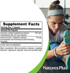 NaturesPlus Herbal Actives Coleus Forskohlii - 60 Cápsulas