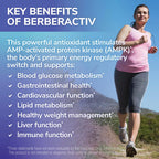 Tesseract Medical Research BerberActiv-QR Berberina 350mg, 90 Cápsulas Vegetarianas