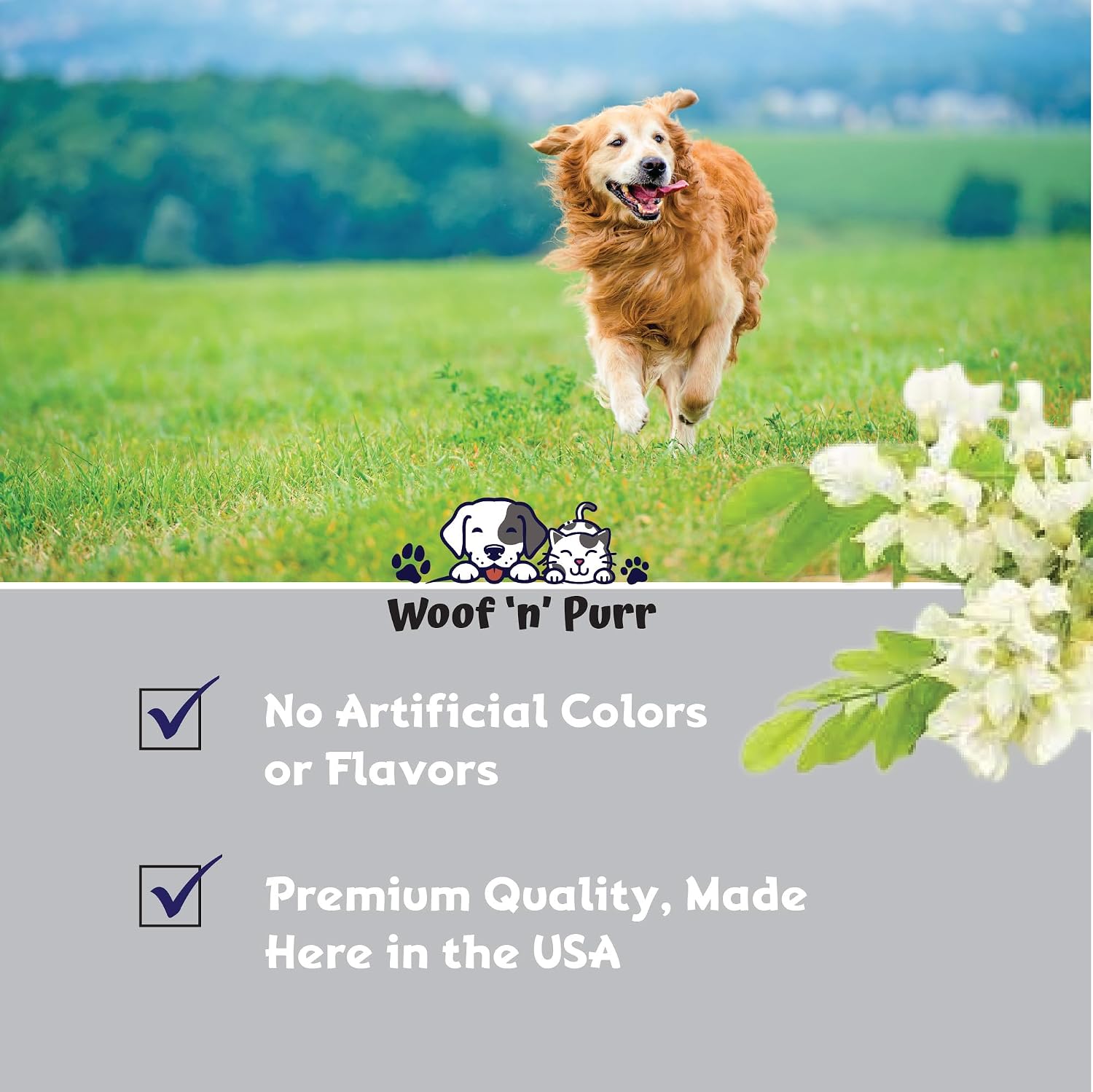 Zinc para Perros - Suplemento de Zinc Líquido para la Piel, el Pelaje y la Salud Inmunológica - 1 fl oz - Sabor a Bacon