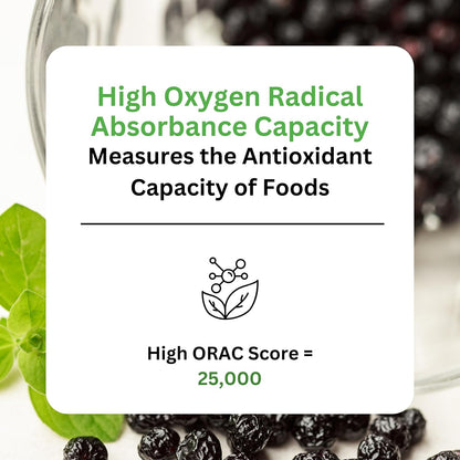 Paradise Herbs, Extracto Orgánico de Baya de Maqui, 400 mg, 60 Cápsulas – Image 3