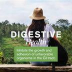 Nature's Sunshine Gastro Health Concentrate, 60 Cápsulas | Alivio Ocasional de Indigestión y Acidez