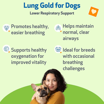 Pet Wellbeing Lung Gold para Perros y Gatos – Suplemento Herbal Natural para el Sistema Respiratorio, 18 ml – Image 2