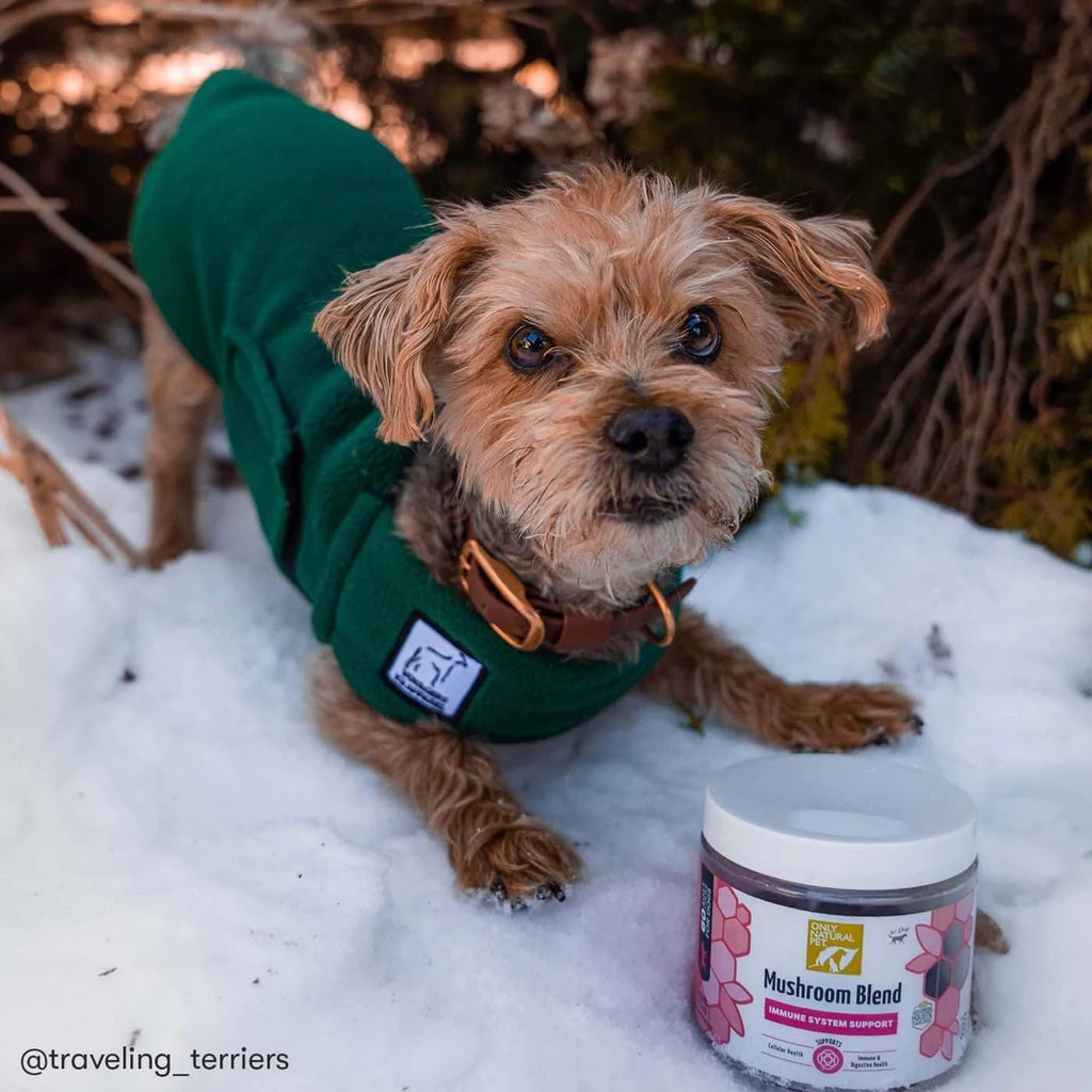 Only Natural Pet Mezcla de Hongos para Perros - Apoyo Inmunológico, Digestivo y Celular - 60 Gomitas Suaves Sabor Bacon