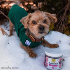 Only Natural Pet Mezcla de Hongos para Perros - Apoyo Inmunológico, Digestivo y Celular - 60 Gomitas Suaves Sabor Bacon