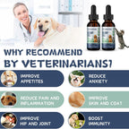 Organic Hemp Oil para Perros y Gatos - Aceite de Cáñamo con Omega 3, 6, 9 - Paquete de 2
