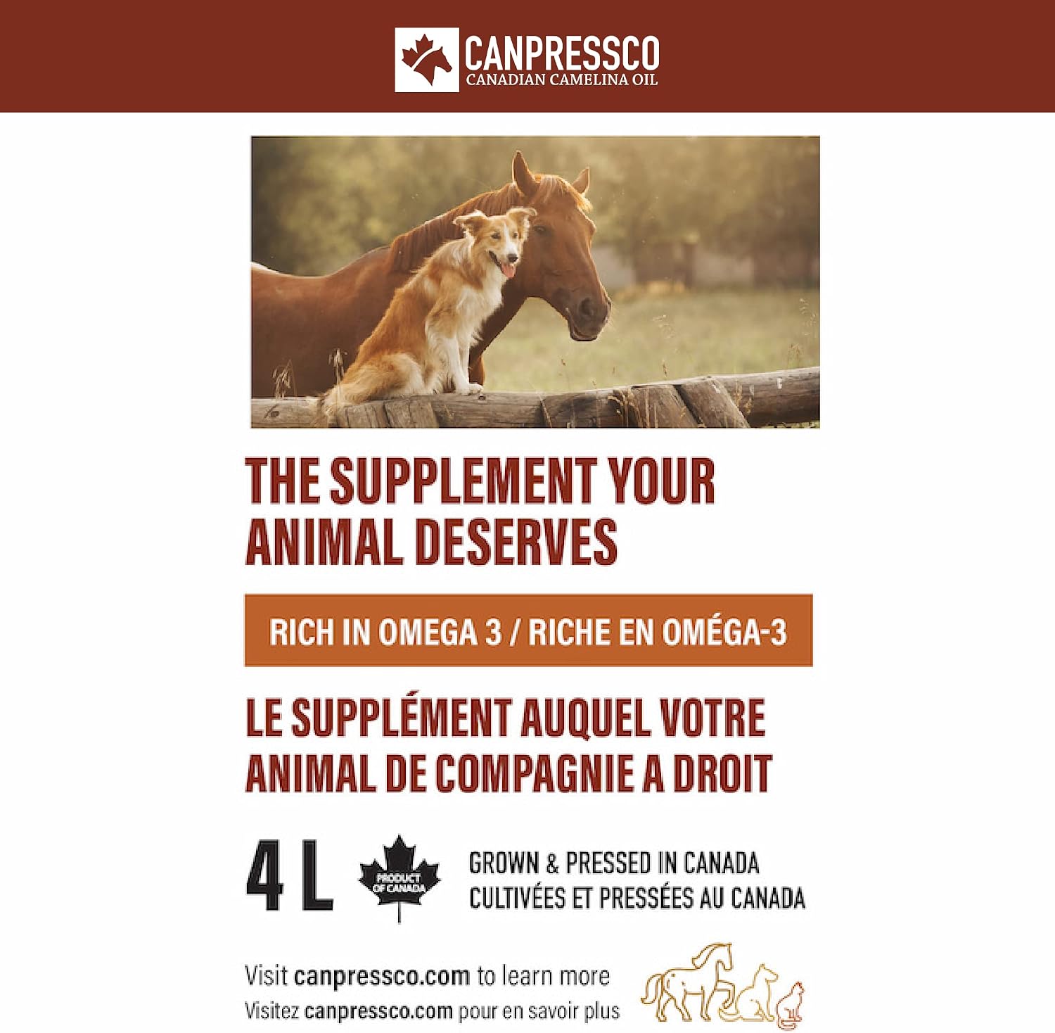 Canpressco Aceite de Camelina 4L con Bomba Dosificadora – Para Equinos, Caninos y Felinos