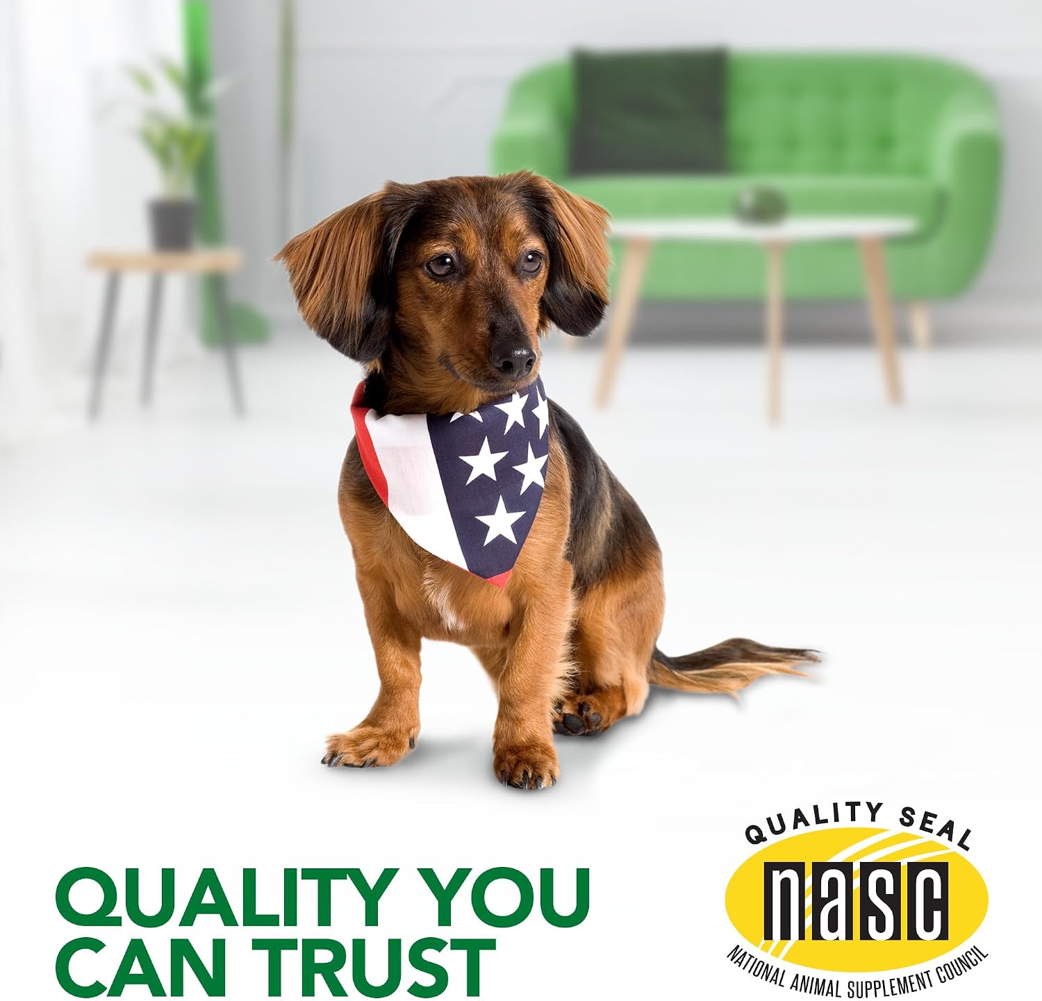 Vet's Best Masticables para Alergias en Perros - Alivio del Picor Estacional - 60 Comprimidos
