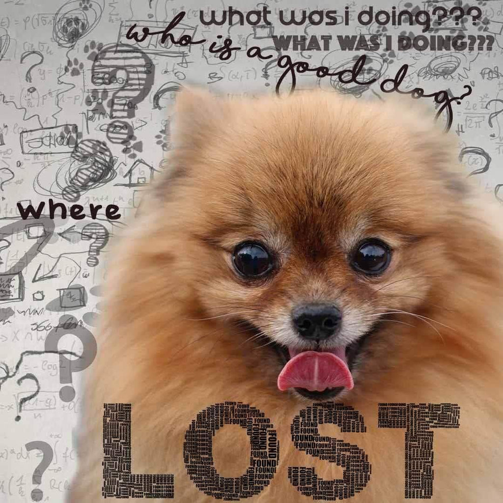 The Blissful Dog Pomeranian Age Well Spray Aromaterapia
