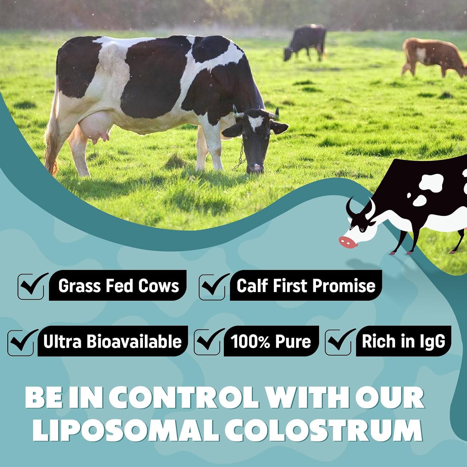 Marafiki Suplemento de Calostro Bovino Liposomal - Polvo de Pastoreo - 60 Porciones