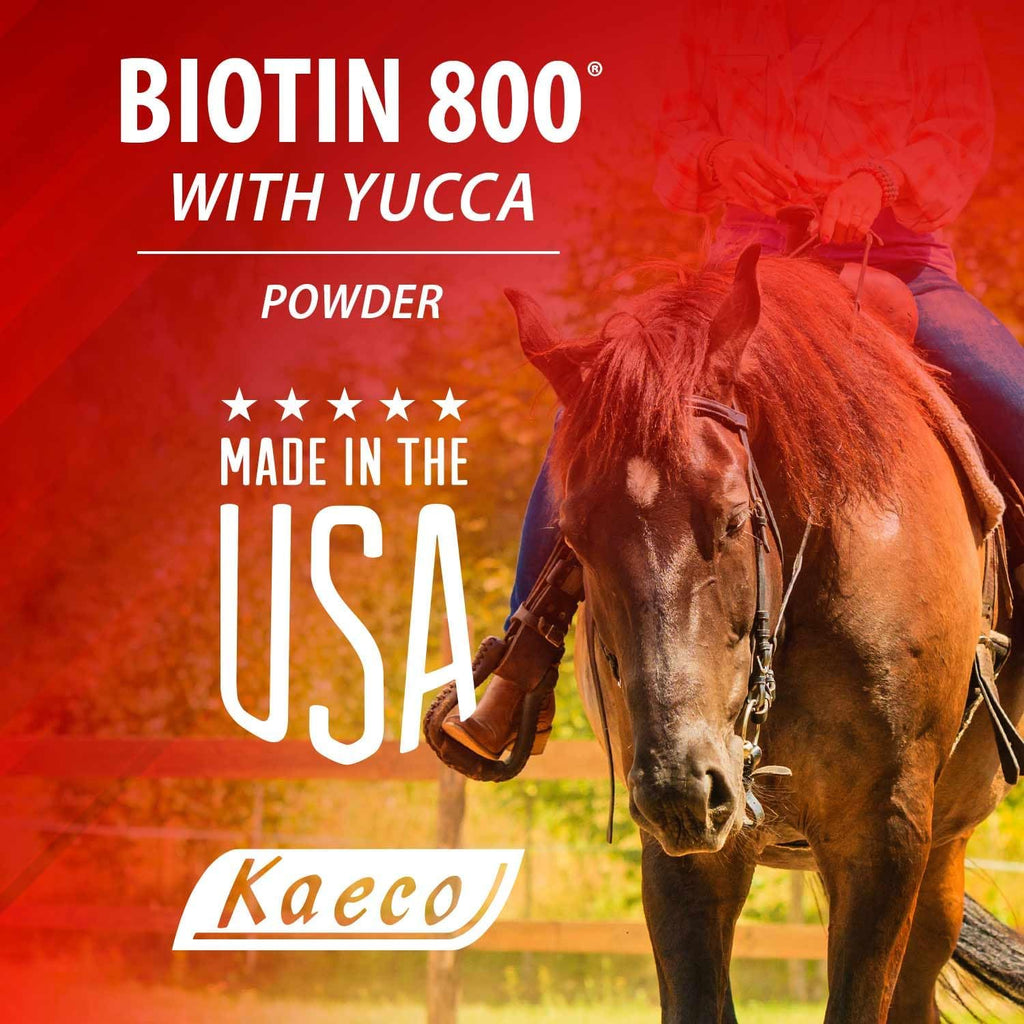 Biotina 800 en Polvo