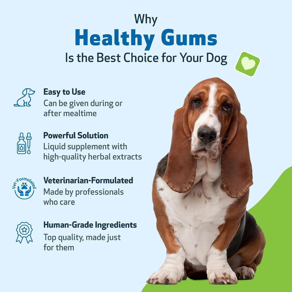 Pet Wellbeing Healthy Gums para Perros - Gotas Tópicas para Cuidado Bucal, Salud Dental y Aliento Fresco - Certificado NASC y Formulado por Veterinarios - Líquido de 118 ml