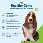 Pet Wellbeing Healthy Gums para Perros - Gotas Tópicas para Cuidado Bucal, Salud Dental y Aliento Fresco - Certificado NASC y Formulado por Veterinarios - Líquido de 118 ml