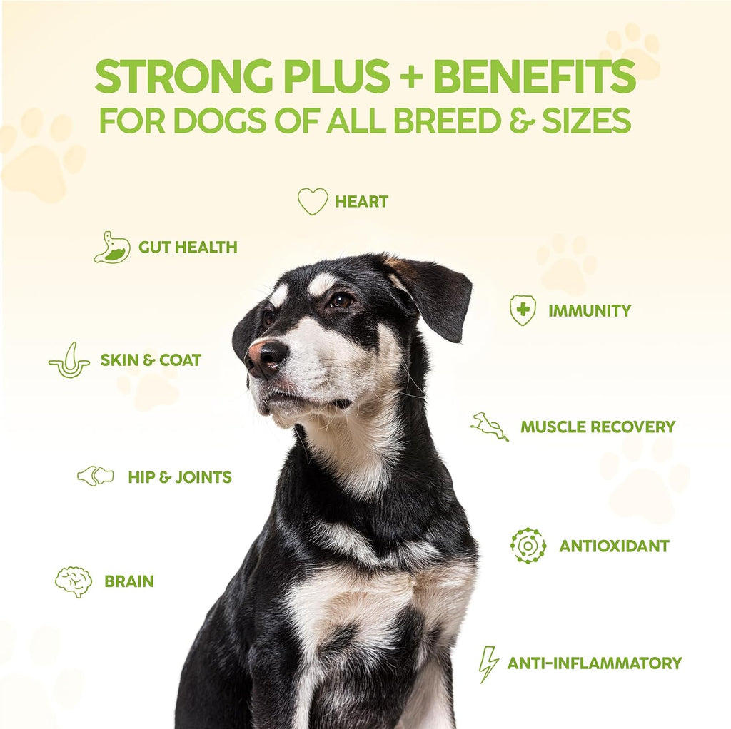 King Kanine Strong Plus Probióticos, Proteínas y Articulaciones para Perros - 170g (6 oz)