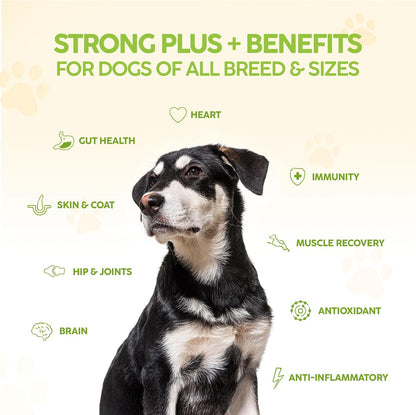 King Kanine Strong Plus Probióticos, – Piel y pelaje: Los ácidos grasos omega-3 contribuyen a una piel sana y un – Image 4