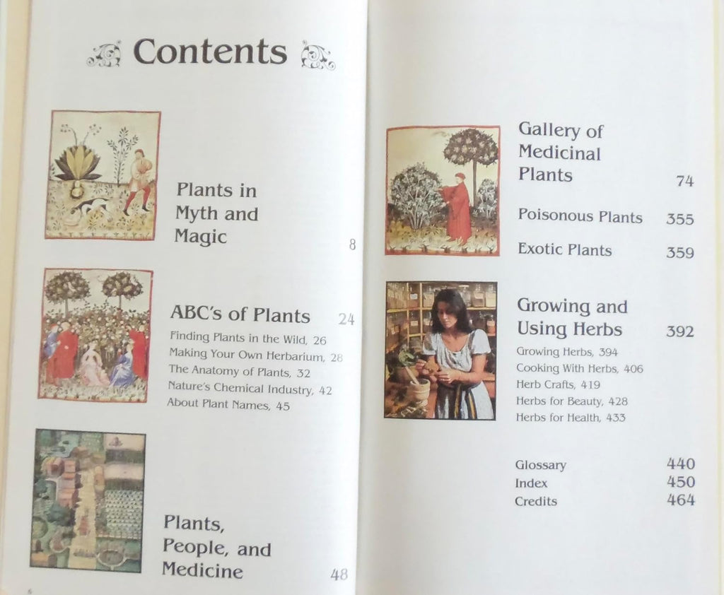 Magia y medicina de las plantas