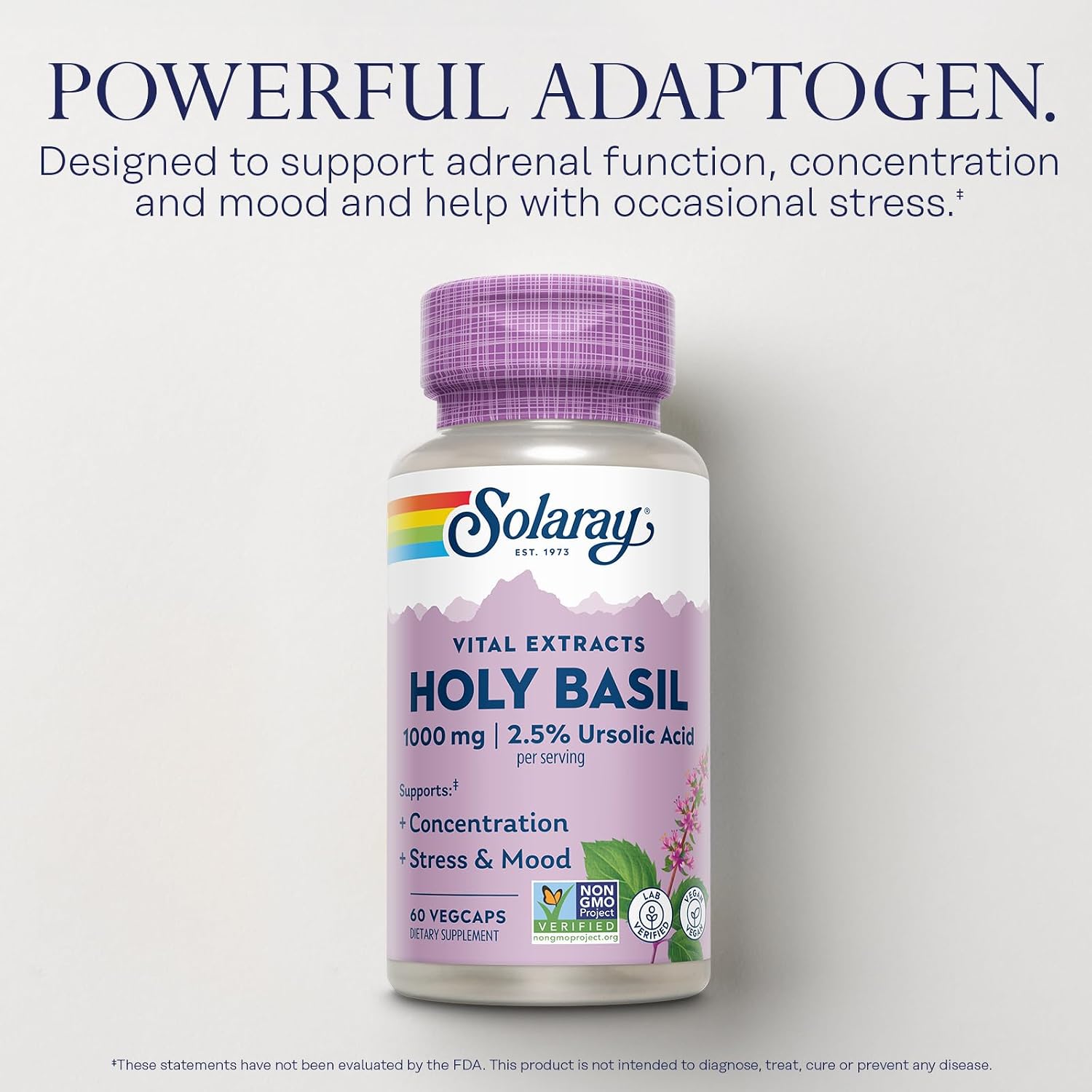 Solaray Albahaca Santa 1000 mg - Tulsi Adaptogeno con Ácido Ursólico - Suplemento Vegano