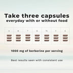 LifeSeasons Berberina 1000 mg - 90 Cápsulas - Apoyo para el Bienestar General